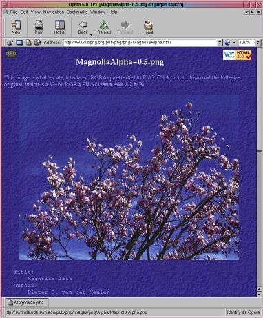 [png-MagnoliaAlpha.html half-scale screenshot (55k)]