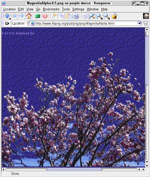 [png-MagnoliaAlpha.html half-scale screenshot (36k)]