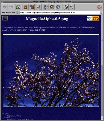 [png-MagnoliaAlpha.html half-scale screen shot (46k)]