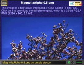 [png-MagnoliaAlpha.html half-scale screen shot (17k)]